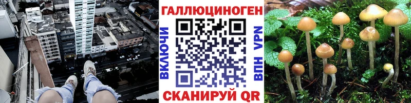 Псилоцибиновые грибы Magic Shrooms Высоковск